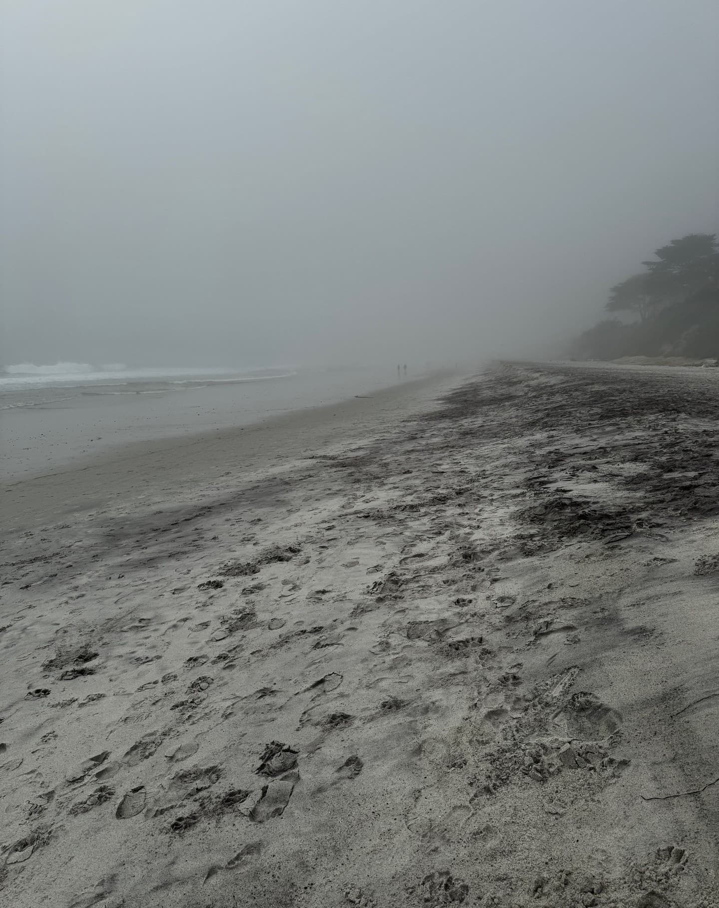 White sands and gentle waves at Carmel Beach on a clear day